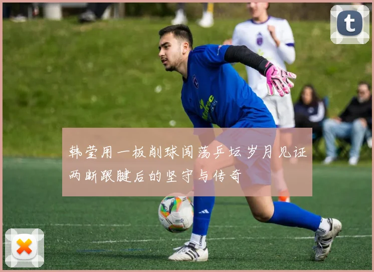 韩莹用一板削球闯荡乒坛岁月见证两断跟腱后的坚守与传奇